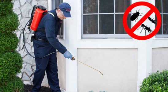 Alaca Karınca İlaçlama böcek ilaçlama ve haşere kontrolü — ilaclama-tr.com